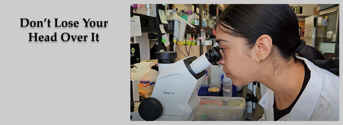  SDSU Undergraduate Yesenia Rodriguez Reyes tackles a biological mystery