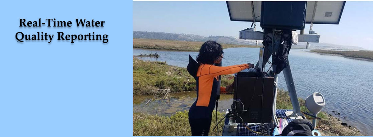 Sensors Deployed in Tijuana River Estuary Detect Presence and Concentration of Harmful Compounds